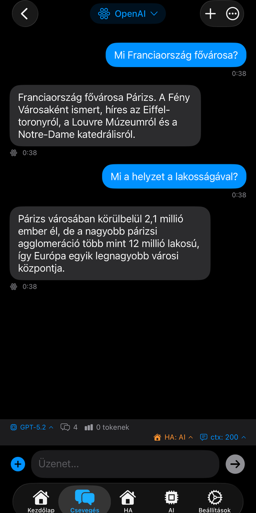 AskWatch iPhone chat interface
