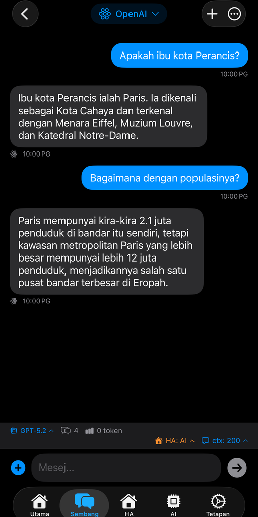 AskWatch iPhone chat interface